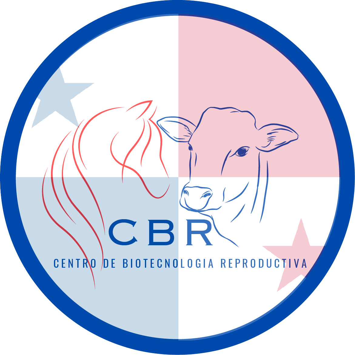 CBR Panamá