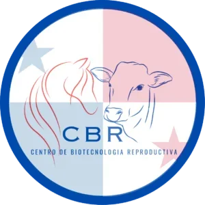 CBR Panamá